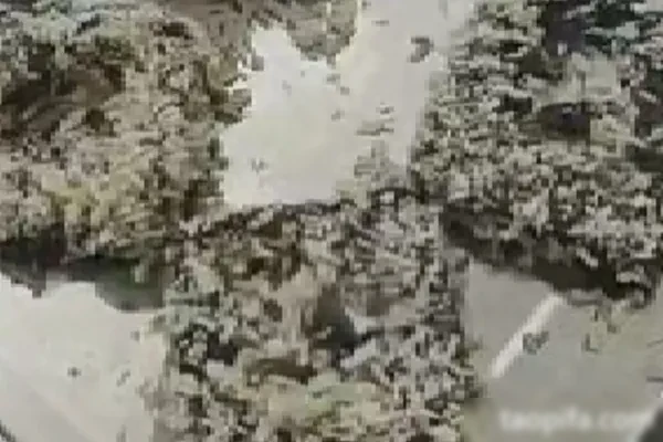 豆腐王朝三口味技术配方-爱尚配方网