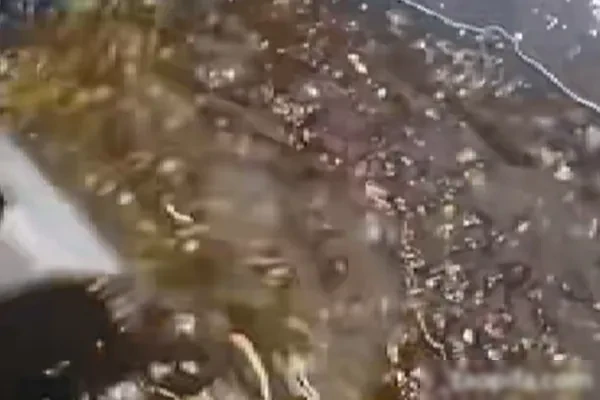 广东顺德秘制啫鱼酱技术配方和视频教程-爱尚配方网